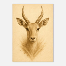 Antelope wall art poster from Linear Wild collection, wildlife nature print with detailed antelope portrait for home decor.