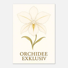 Premium Poster „White Orchid“ – elegante weiße Orchideenblüte mit goldenen Akzenten, hochwertige Wanddeko ohne Rahmen.