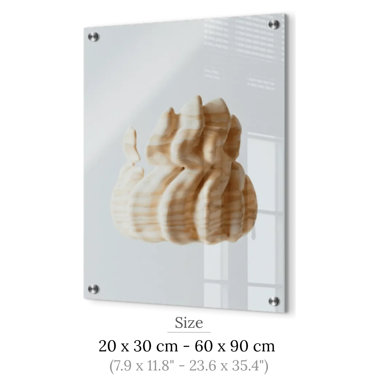 Acrylic Print Zodiac Signs