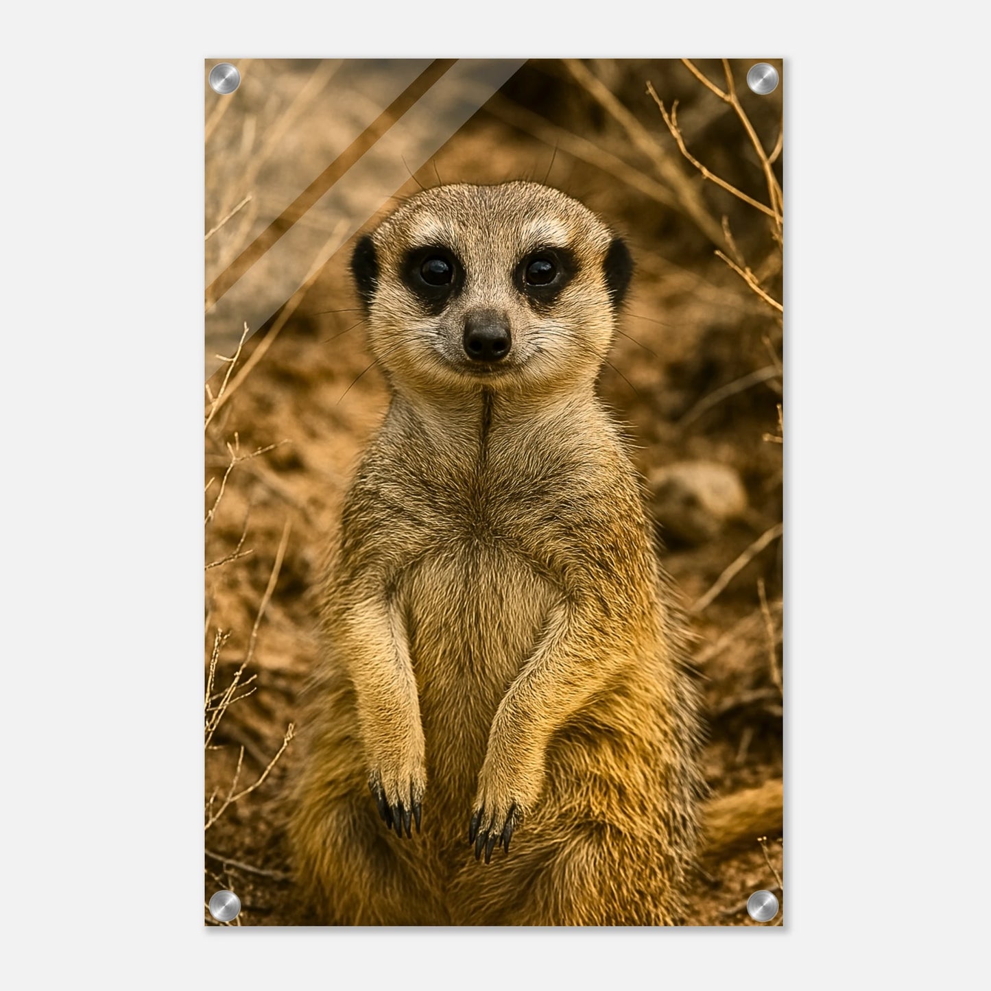 102498a7-f5a1-45b3-bd88-c75615884e96