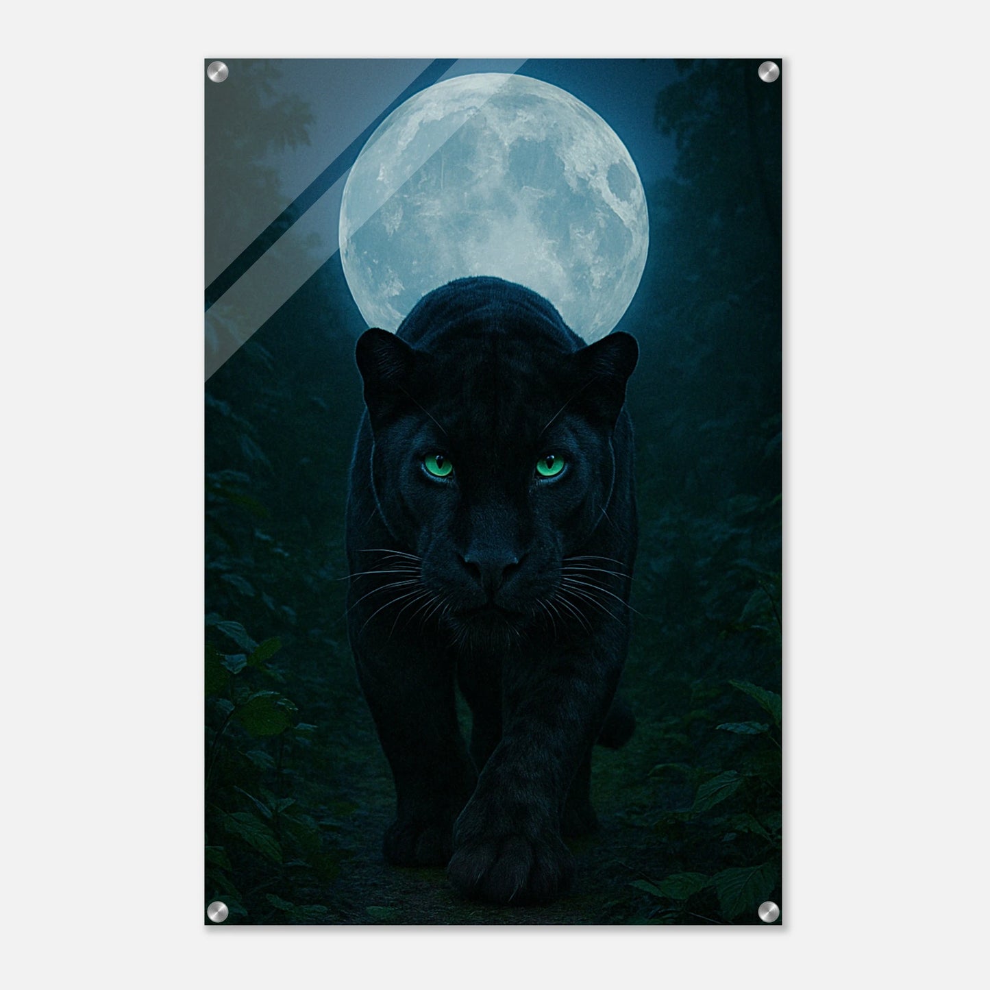 14d4c9cc-e56c-4508-b58a-886df2810a91