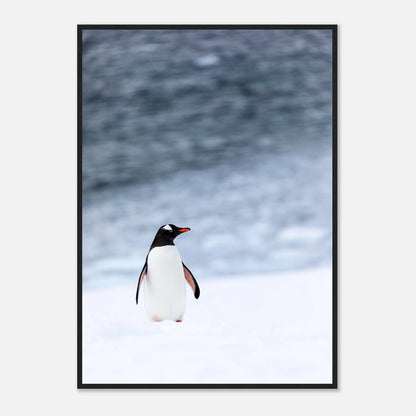 48f0e609-644e-4713-b474-92f1c18447e7