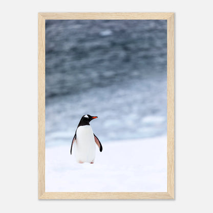 49669b46-0586-448c-9f06-832a727e3356