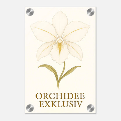 501c5f52-25e8-42db-9a13-d24fd1b95650