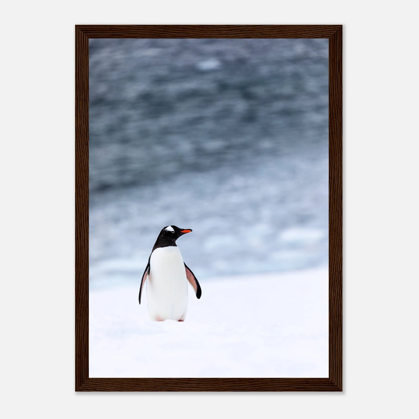 6bfe247d-def7-42b9-bc5b-82f57b112461