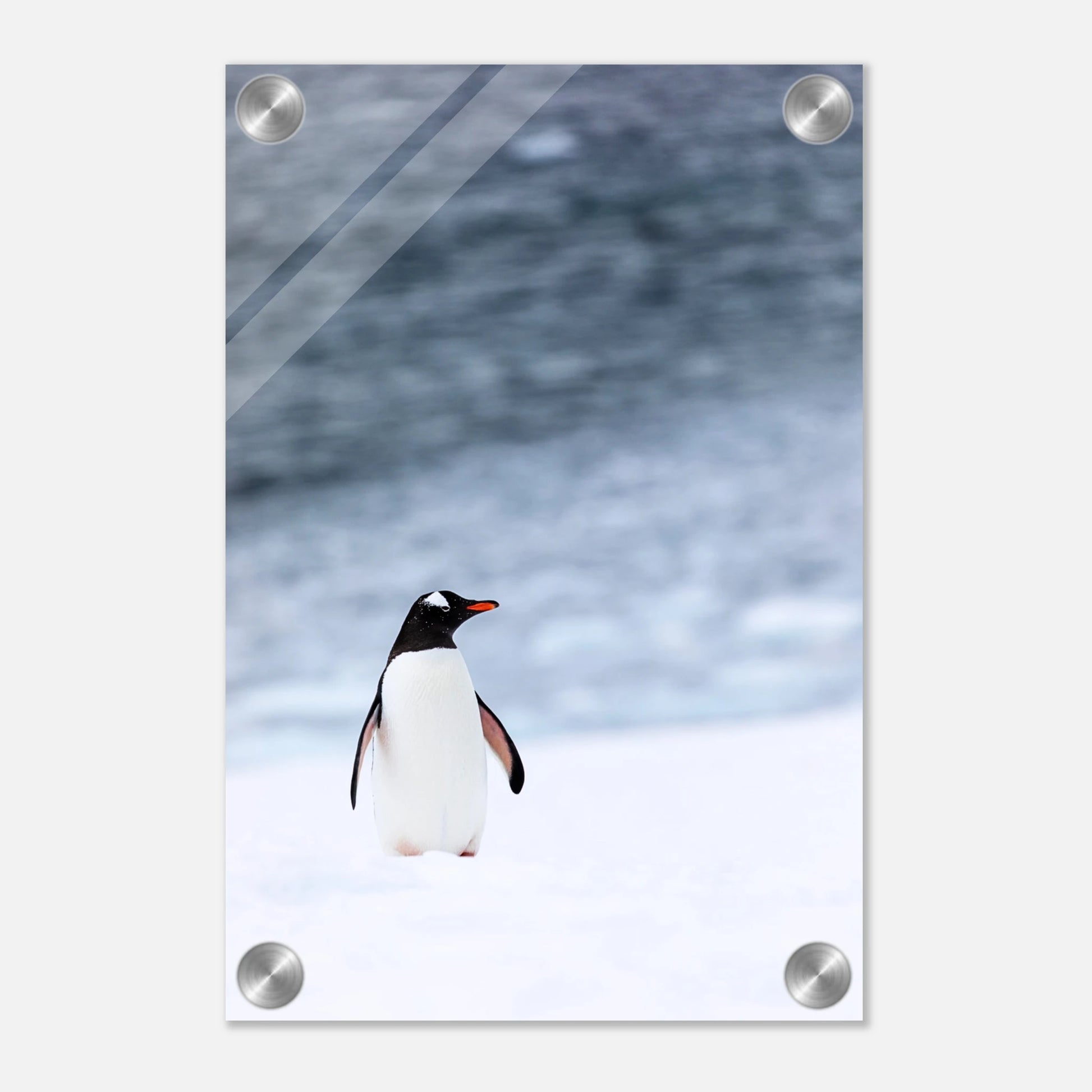 7ba1d4f3-226d-4a30-aa39-787e40008296