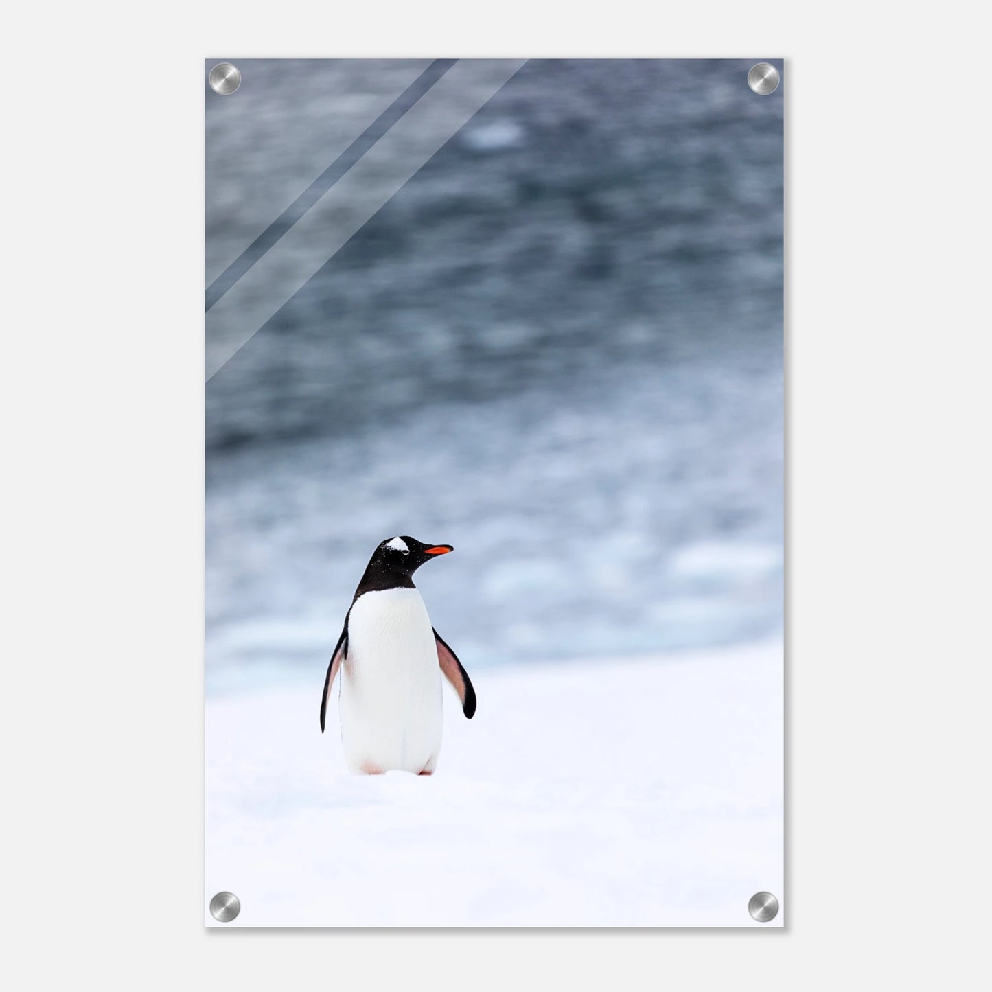 7db82615-eb9c-43e9-9865-c49af0318617