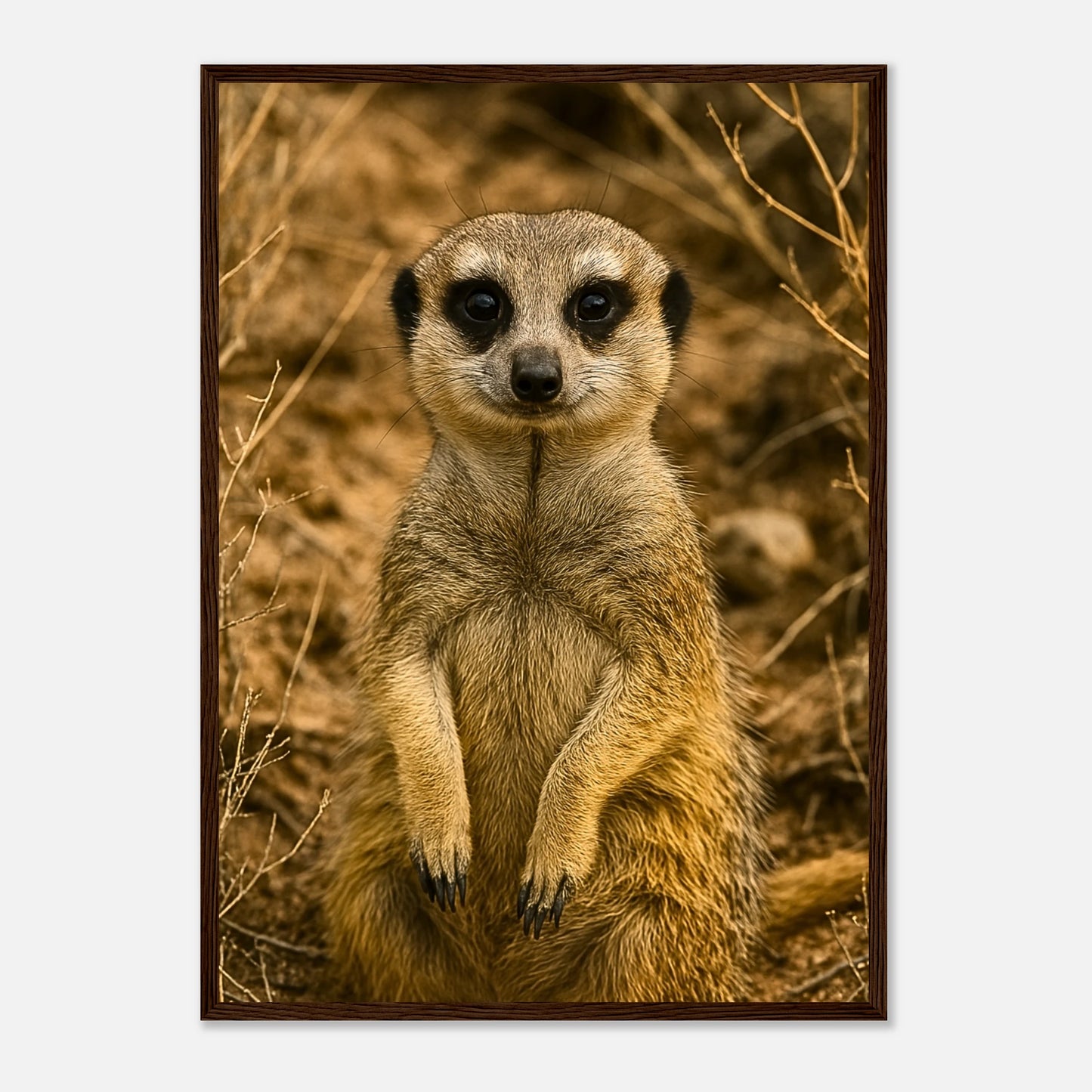 8b10b32b-fafb-4364-af43-3c43475d00fe