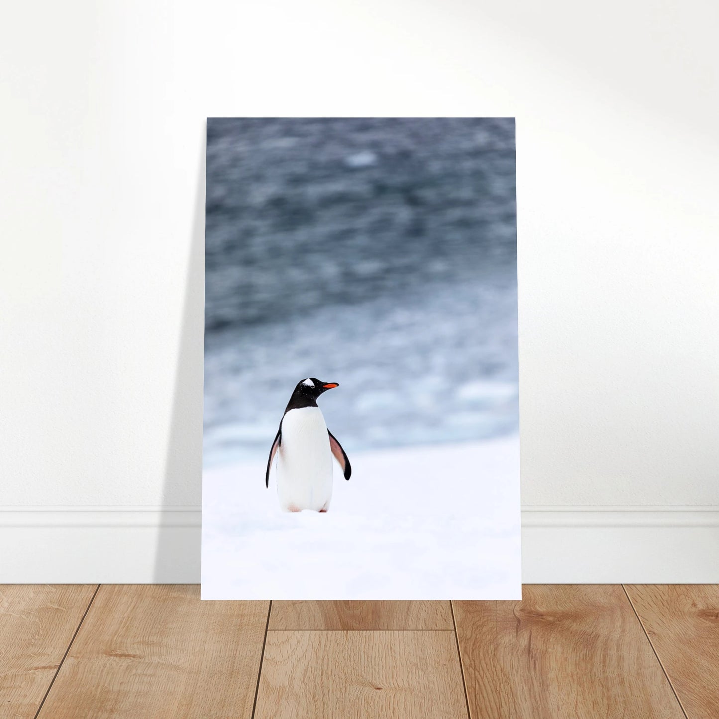 8d68dcbd-eb21-4721-8ee8-e1bc0fed8a25