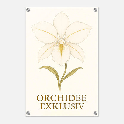 a060f227-aacf-4a5b-bd97-ad2b05ff20e9