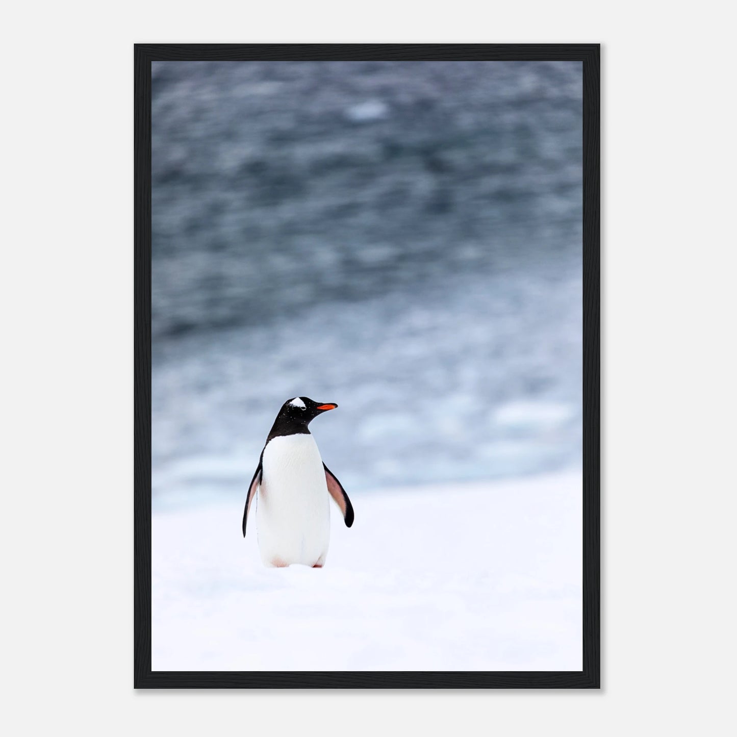 b08a4fad-72e0-4d58-b0fd-b44ef0ebc5d7