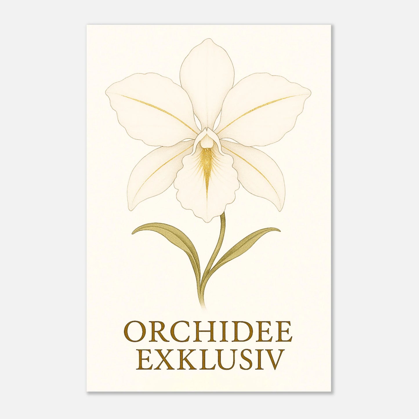 c9a6f435-80fc-4011-9553-b08163a56b6a