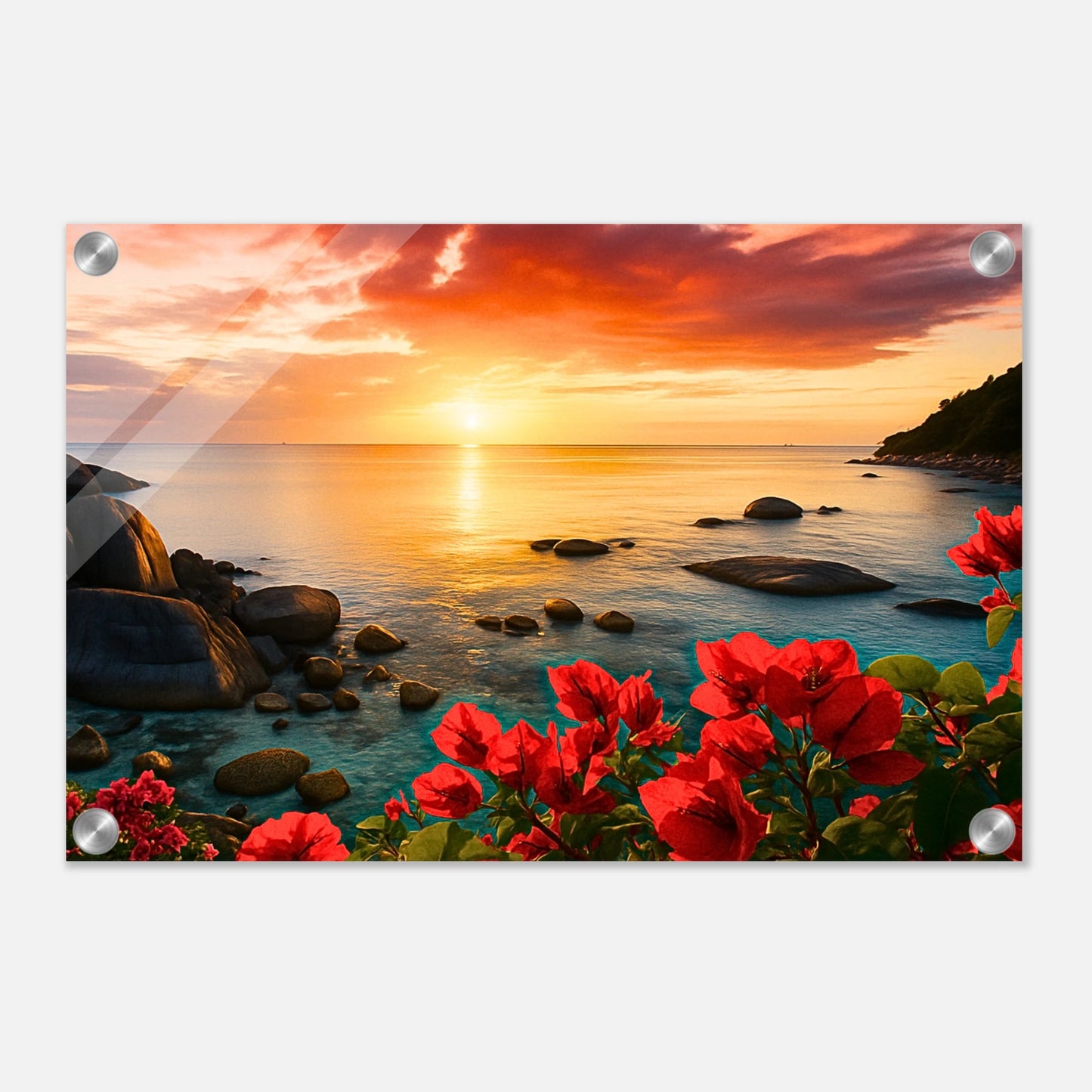 ca470427-63f1-4684-b72c-b855acdb9dd8