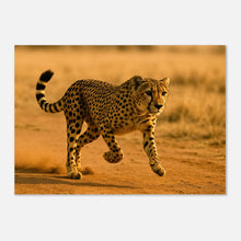 Desert Sprint Cheetah Poster – hochwertiger Tierdruck ohne Rahmen, Wildlife Wandkunst für Wohnzimmer oder Büro.