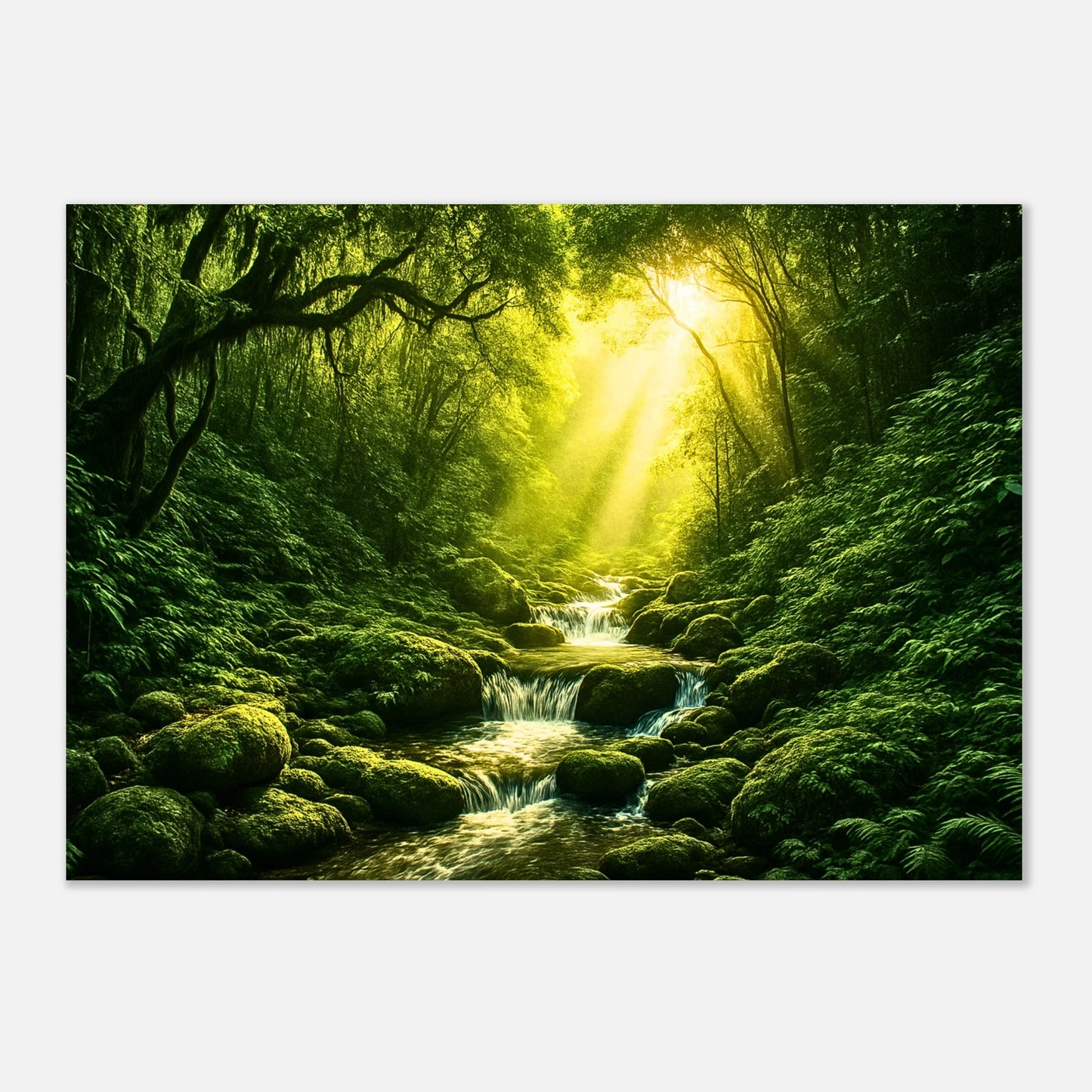 "Light in the Jungle poster – nature wall art print with jungle stream and sunlight"