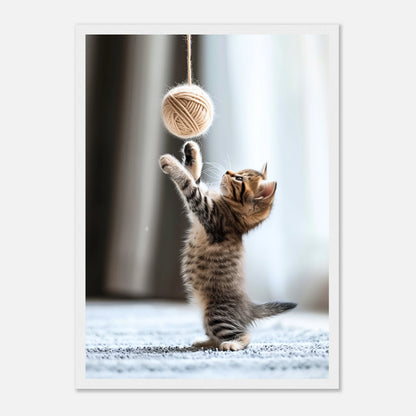 Katzen Poster „Paws & Play“ im weißen Holzrahmen – verspieltes Kätzchen mit Ball als moderne Wandkunst für Tierfreunde.