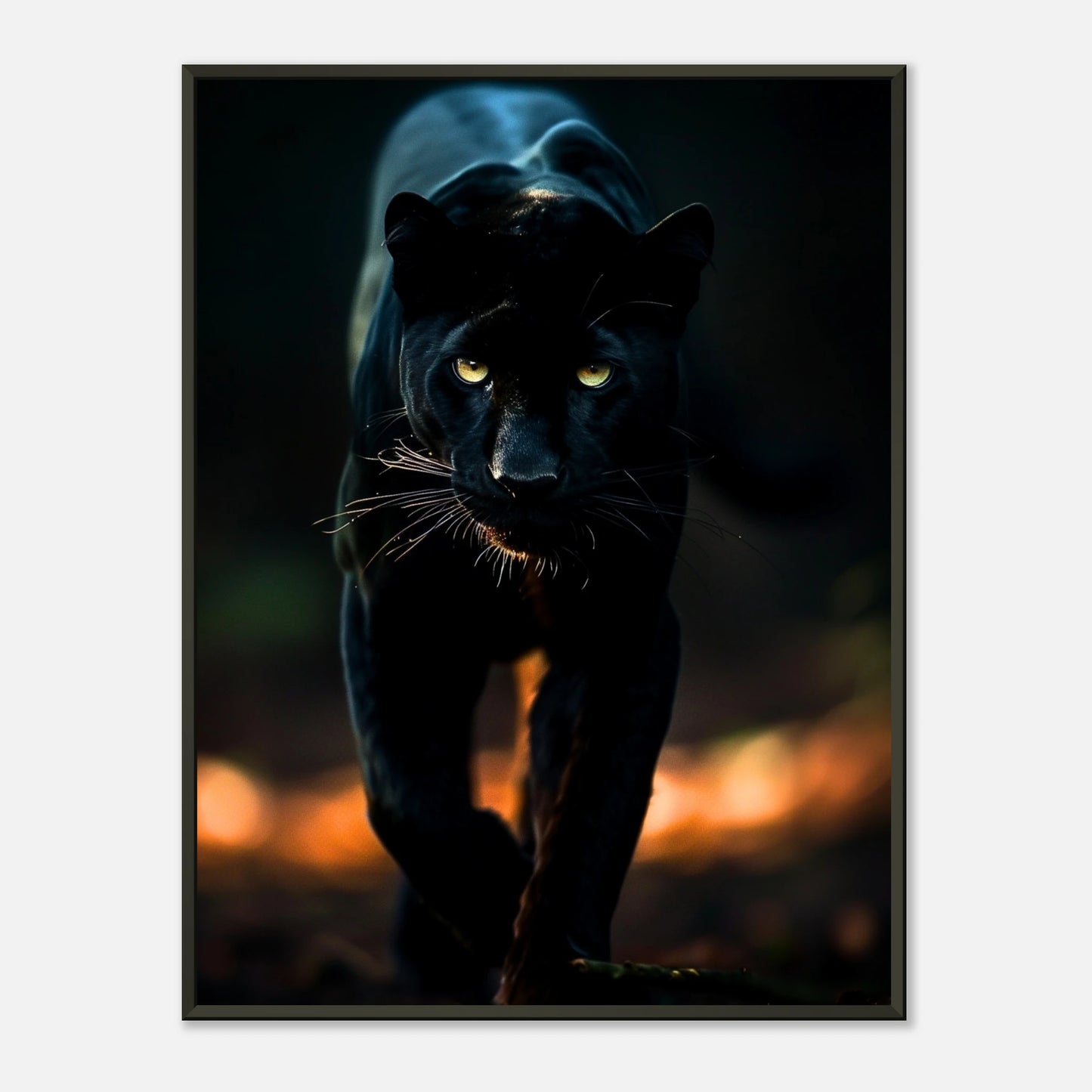 The Black Panther Poster – kraftvoller schwarzer Panther in dunkler Nacht mit intensiven Augen im eleganten schwarzen Metallrahmen. Tierkunst von Defa Designs.