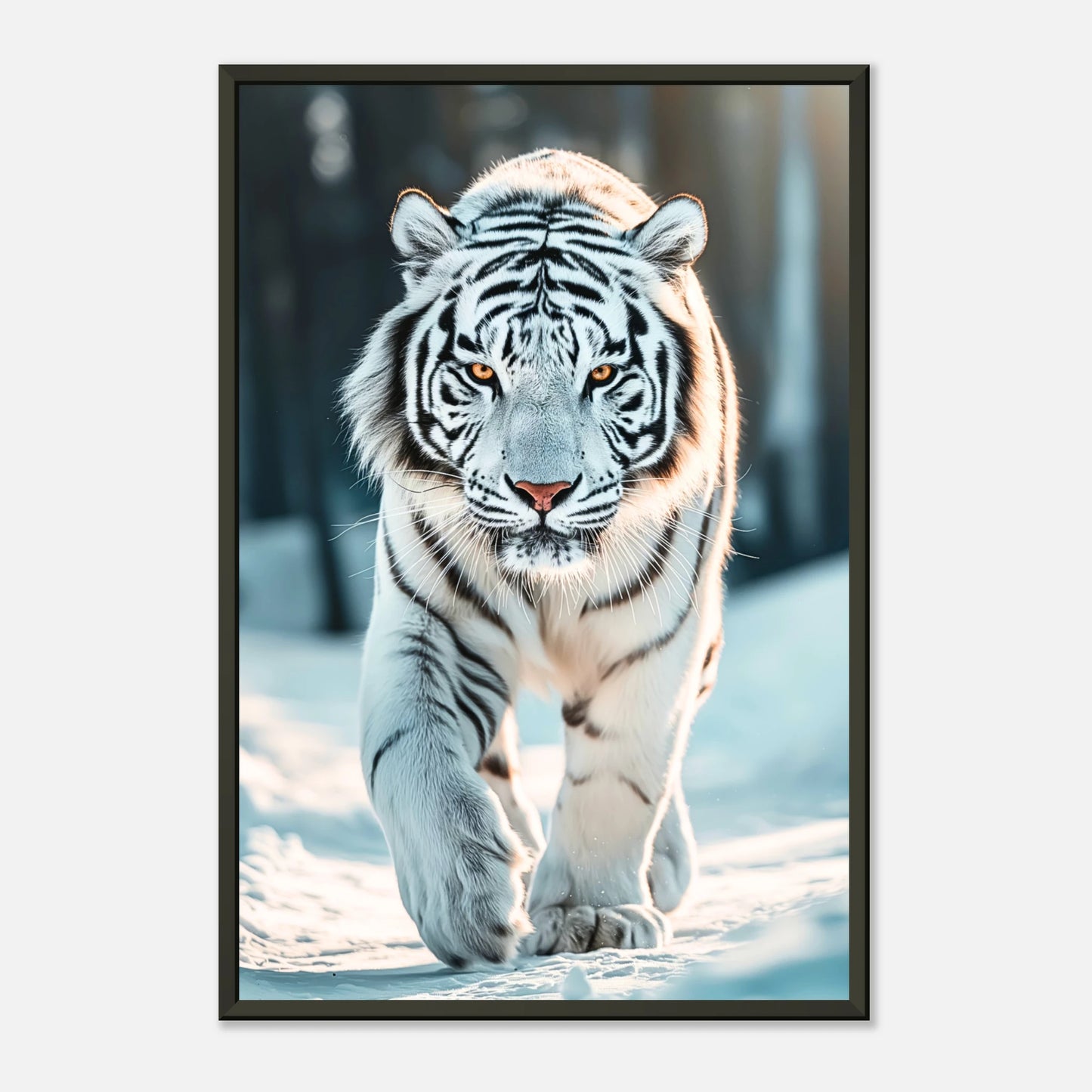 Detailaufnahme des The White Tiger Posters – intensiver Blick und feine Fellstruktur des weißen Tigers in Premium-Druckqualität.