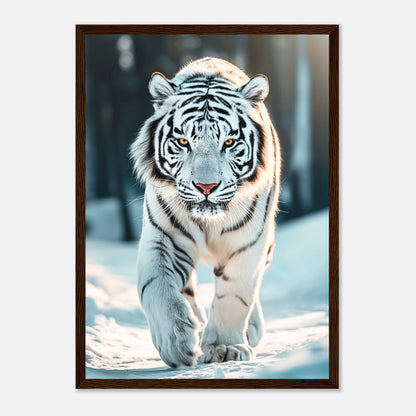 The White Tiger Poster im dunkelbraunen Holzrahmen – kunstvolles Wandbild weißer Tiger für stilvolle Einrichtung.