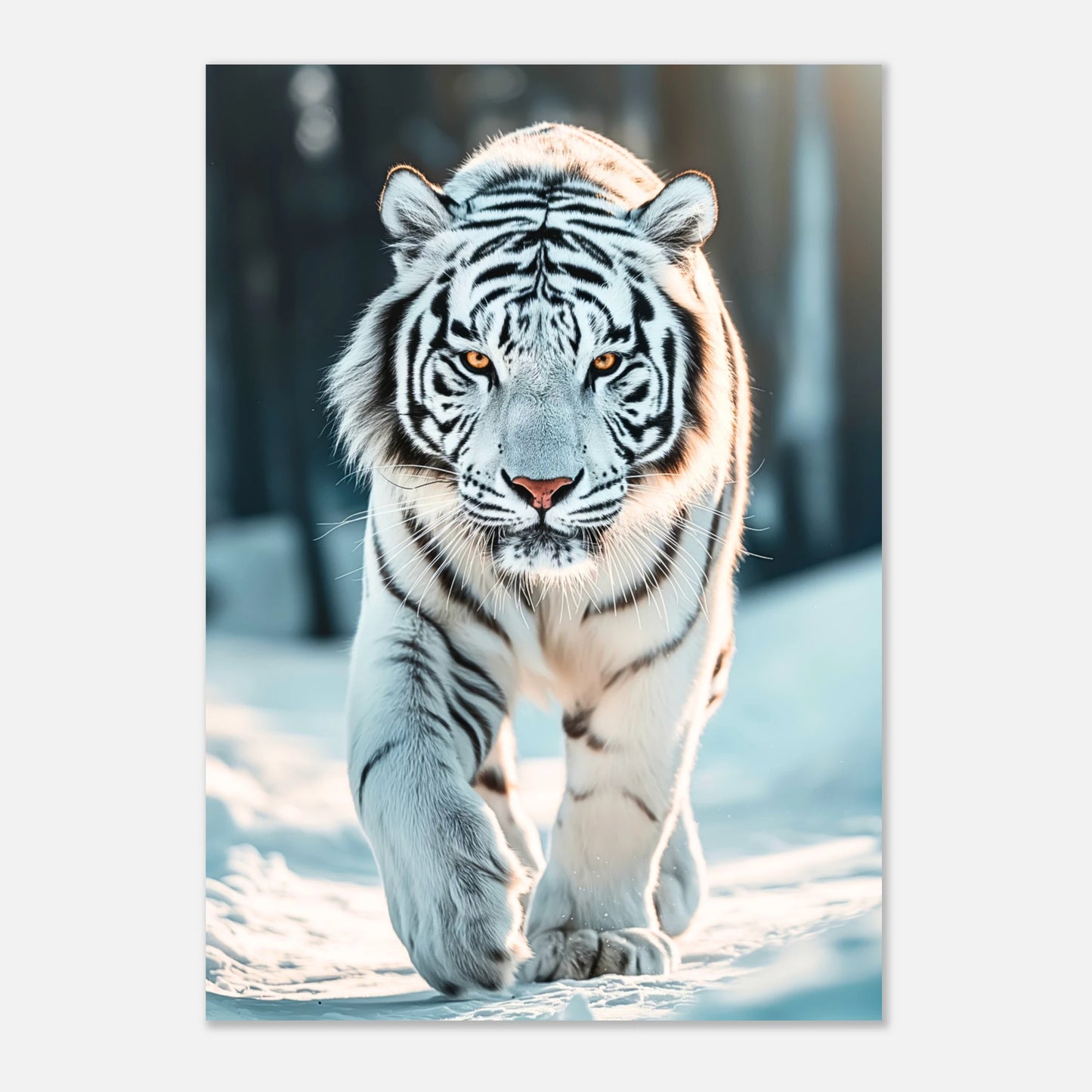 Seitenansicht des The White Tiger Posters mit eindrucksvollem Tiermotiv