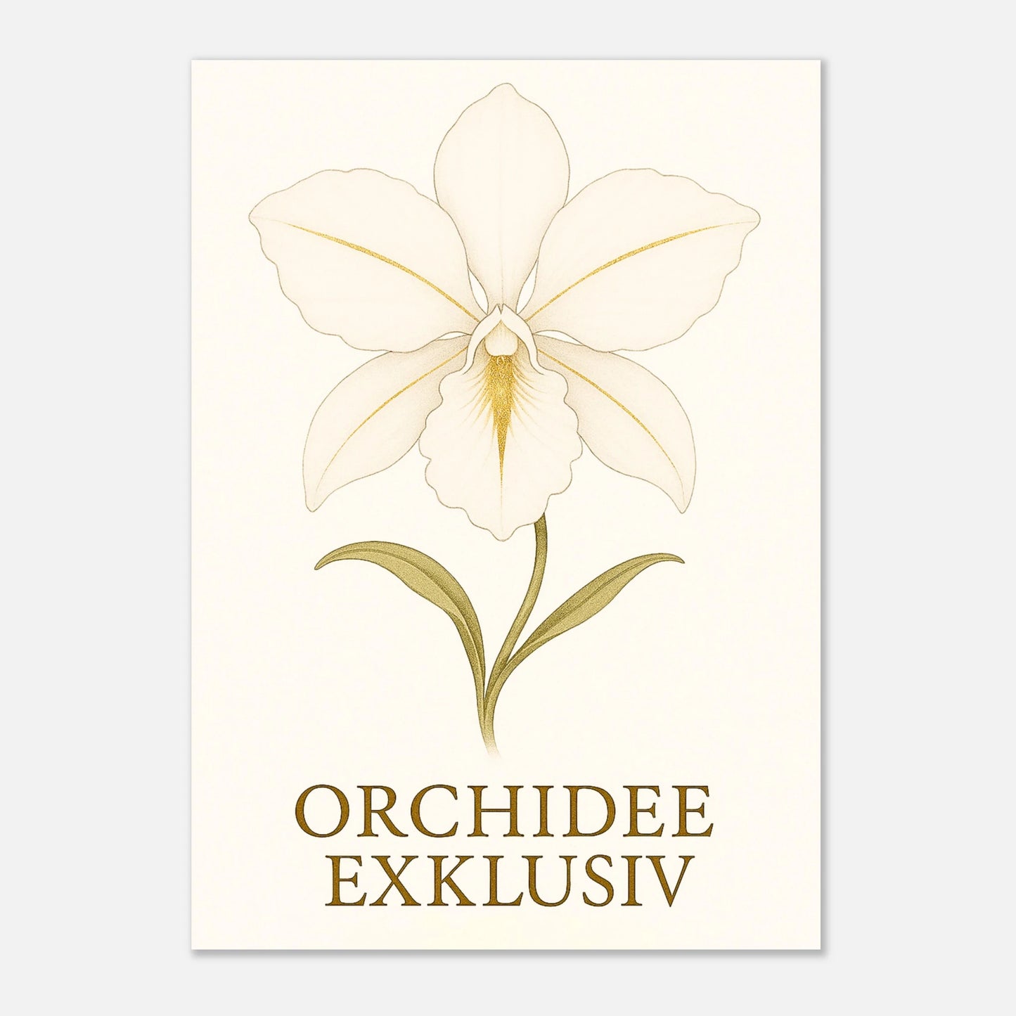 Detailansicht Poster „White Orchid“ – matte Premium-Qualität mit feinen Linien und goldenen Akzenten.