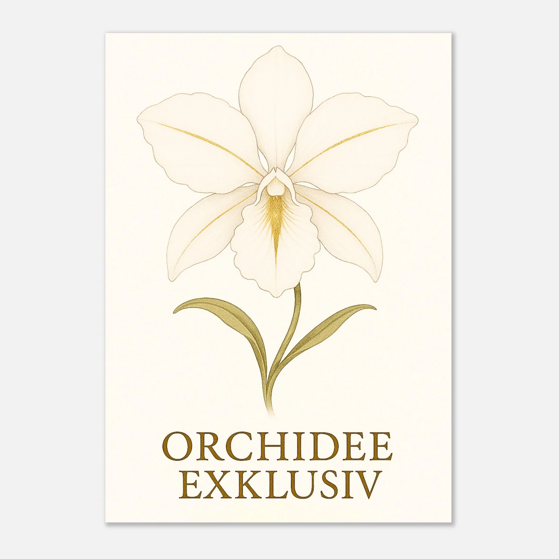 Detailansicht Poster „White Orchid“ – matte Premium-Qualität mit feinen Linien und goldenen Akzenten.
