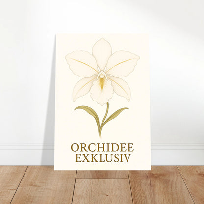 „White Orchid“ Poster – elegante weiße Orchideenblüte als stilvolle Wanddekoration im Wohnzimmer, modernes Interieur.