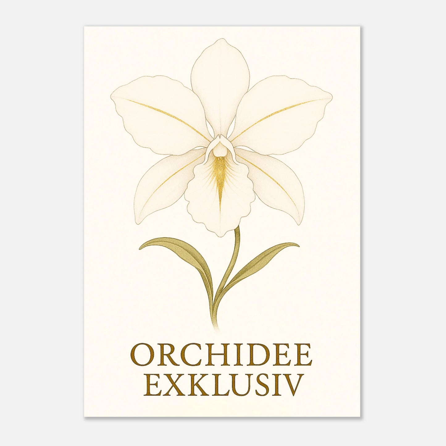 „White Orchid“ Poster – ungerahmt, elegante weiße Orchideenblüte mit goldenen Akzenten als edle Wandgestaltung.
