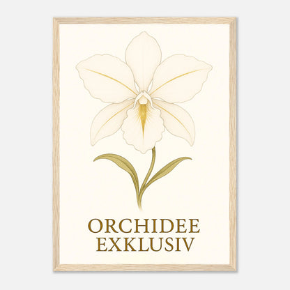 White Orchid Poster mit hellbraunem Holzrahmen – stilvolles Orchideenmotiv für Wohnzimmer oder Büro