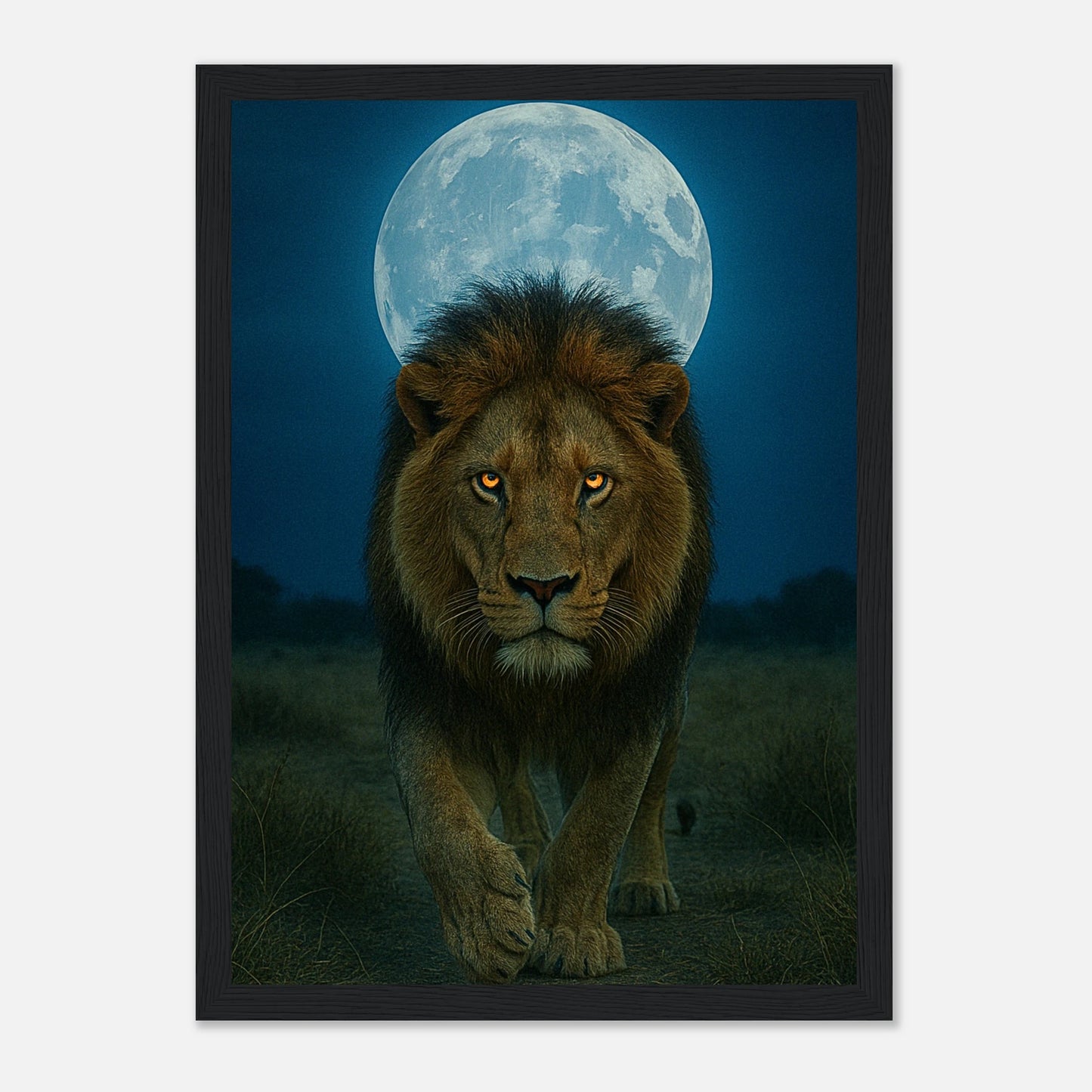 Wild Nights Löwen Poster mit schwarzem Holzrahmen – edles Tiermotiv mit Mondlicht.
