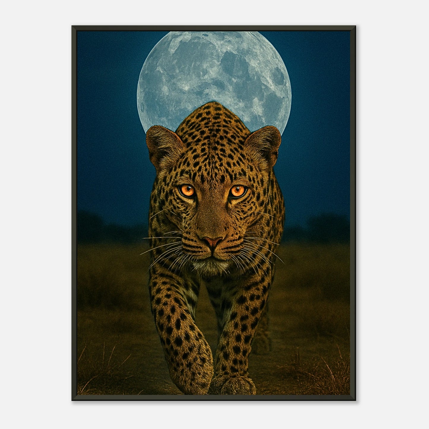 Wild Nights – The Leopard Poster – majestätischer Leopard unter Vollmond im schwarzen Metallrahmen. Nachtmotiv voller Stärke und Eleganz.