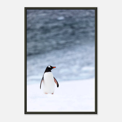 Poster „Antarctic Stroll“ – ruhige Eislandschaft mit Pinguin im schwarzen Metallrahmen, stilvolle Tierkunst | DEFA Designs